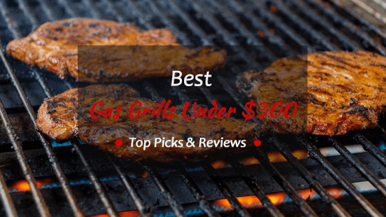 Best-Gas-Grills-Under-300