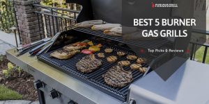 Best-5-Burner-Gas-Grills-Reviews