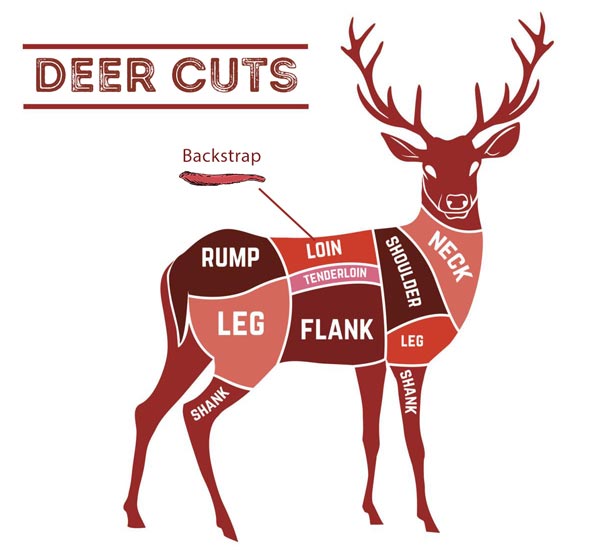 Best Way To Cut Up Deer Meat at Harriet Carey blog