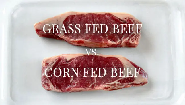 Grass Fed Vs Grain Fed Beef All Differences And Which Is Better 7268